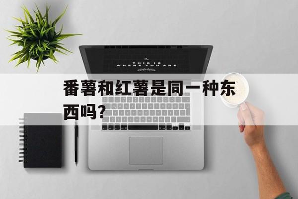 番薯和红薯是同一种东西吗？-第1张图片-