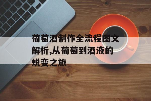 葡萄酒制作全流程图文解析,从葡萄到酒液的蜕变之旅-第1张图片- 葡萄酒制作全流程图文解析,从葡萄到酒液的蜕变之旅-第1张图片-