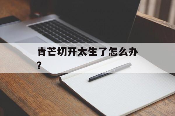 青芒切开太生了怎么办？-第1张图片-