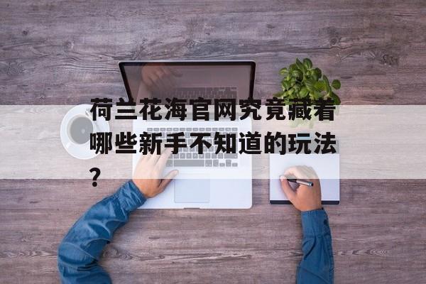 荷兰花海官网究竟藏着哪些新手不知道的玩法？-第1张图片-