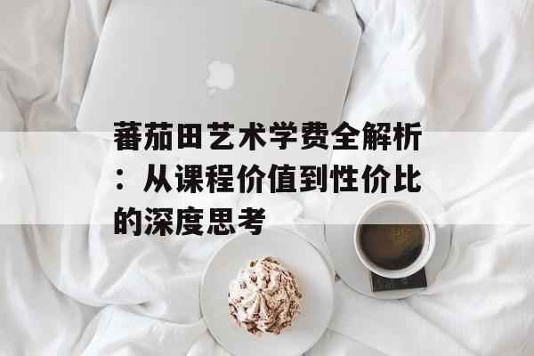 蕃茄田艺术学费全解析：从课程价值到性价比的深度思考-第1张图片-