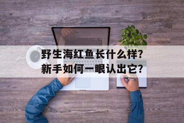 野生海红鱼长什么样？新手如何一眼认出它？-第1张图片-