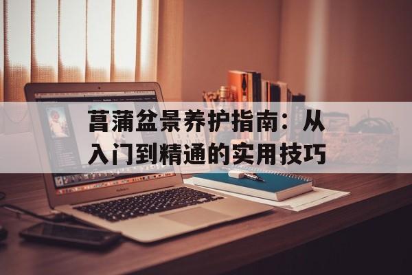 菖蒲盆景养护指南：从入门到精通的实用技巧-第1张图片-