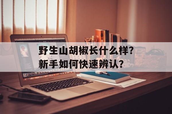 野生山胡椒长什么样？新手如何快速辨认？-第1张图片-