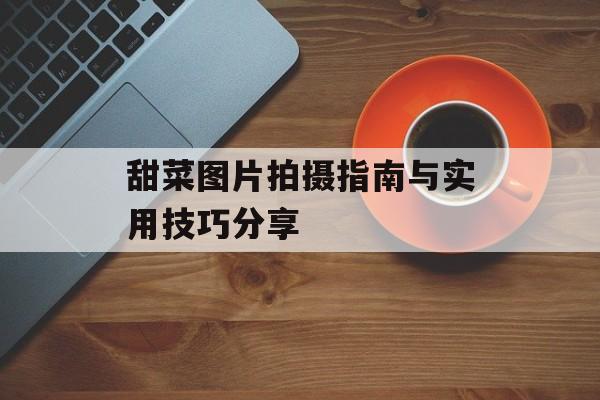 甜菜图片拍摄指南与实用技巧分享-第1张图片-