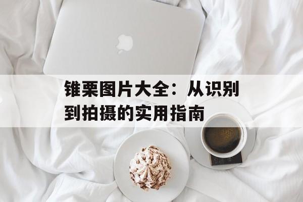 锥栗图片大全：从识别到拍摄的实用指南-第1张图片-