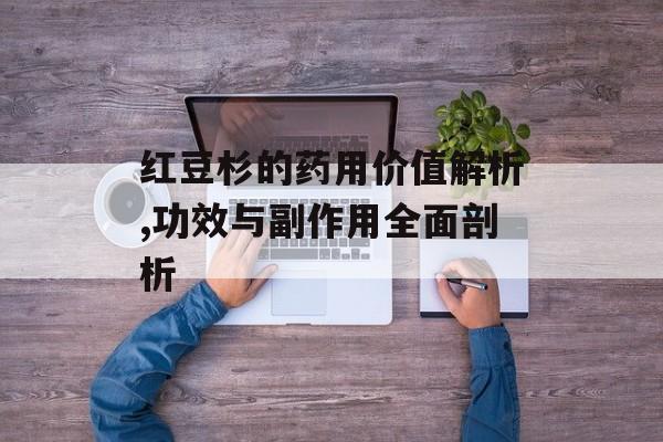红豆杉的药用价值解析,功效与副作用全面剖析-第1张图片-