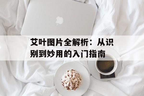 艾叶图片全解析：从识别到妙用的入门指南-第1张图片-