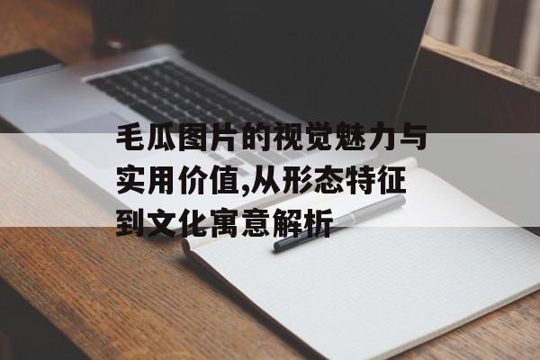 毛瓜图片的视觉魅力与实用价值,从形态特征到文化寓意解析-第1张图片-