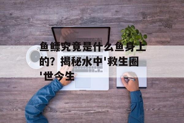 鱼鳔究竟是什么鱼身上的？揭秘水中'救生圈'世今生-第1张图片-