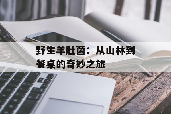 野生羊肚菌：从山林到餐桌的奇妙之旅-第1张图片-