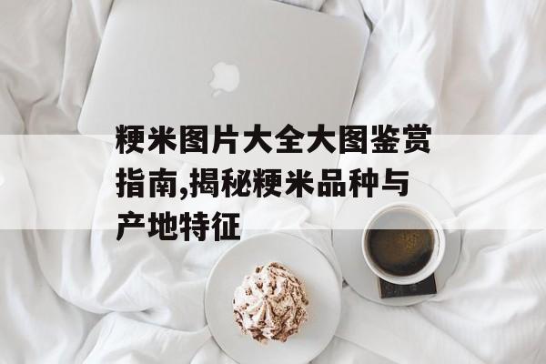 粳米图片大全大图鉴赏指南,揭秘粳米品种与产地特征-第1张图片-