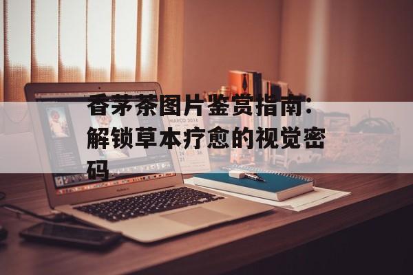 香茅茶图片鉴赏指南：解锁草本疗愈的视觉密码-第1张图片-