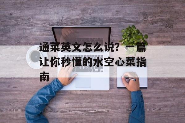通菜英文怎么说？一篇让你秒懂的水空心菜指南-第1张图片-