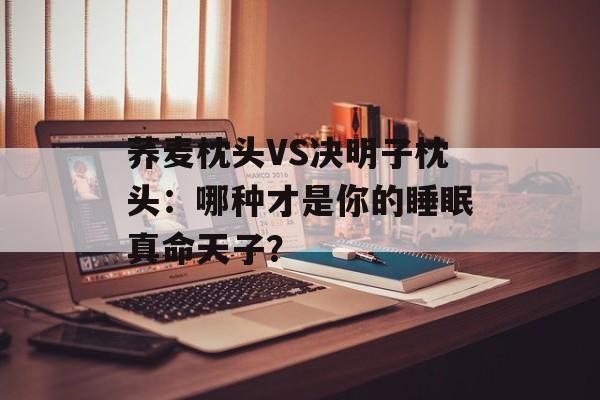 荞麦枕头VS决明子枕头：哪种才是你的睡眠真命天子？-第1张图片-