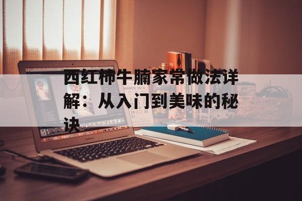 西红柿牛腩家常做法详解：从入门到美味的秘诀-第1张图片-