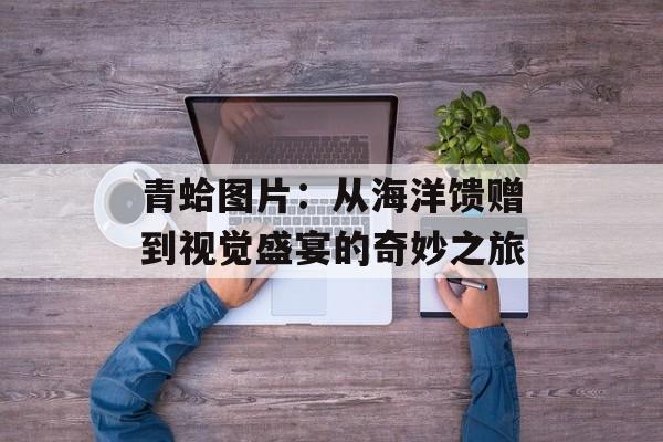 青蛤图片：从海洋馈赠到视觉盛宴的奇妙之旅-第1张图片-