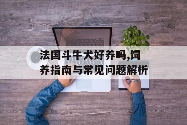 法国斗牛犬好养吗,饲养指南与常见问题解析-第1张图片-
