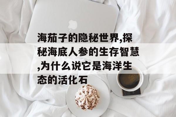 海茄子的隐秘世界,探秘海底人参的生存智慧,为什么说它是海洋生态的活化石-第1张图片-