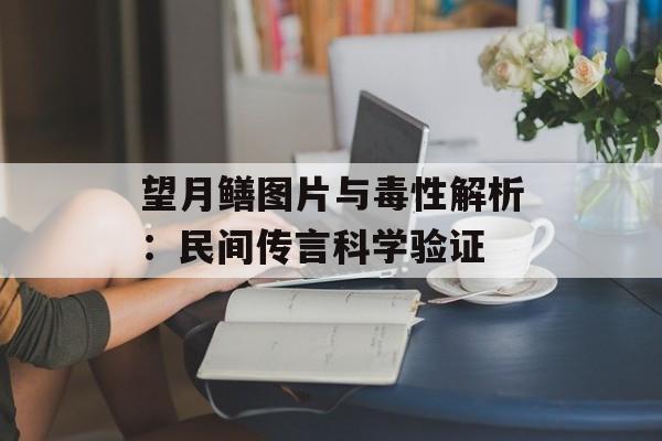 望月鳝图片与毒性解析：民间传言科学验证-第1张图片-