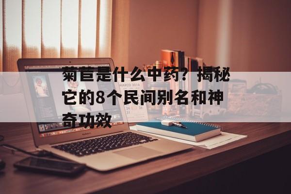 菊苣是什么中药？揭秘它的8个民间别名和神奇功效-第1张图片-