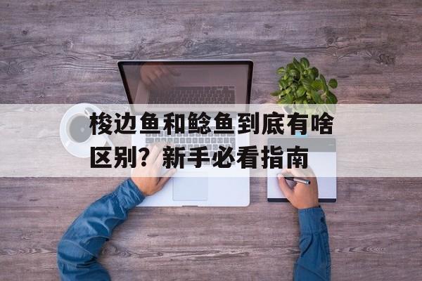 梭边鱼和鲶鱼到底有啥区别？新手必看指南-第1张图片-