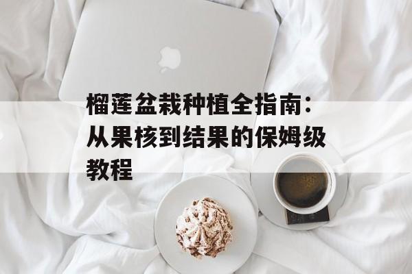 榴莲盆栽种植全指南：从果核到结果的保姆级教程-第1张图片-