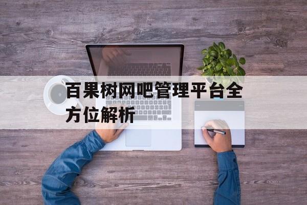 百果树网吧管理平台全方位解析-第1张图片-