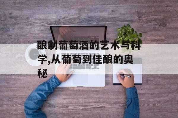 酿制葡萄酒的艺术与科学,从葡萄到佳酿的奥秘-第1张图片-