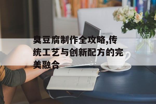 臭豆腐制作全攻略,传统工艺与创新配方的完美融合-第1张图片-